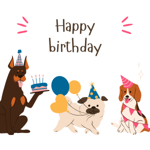 Birthday 5