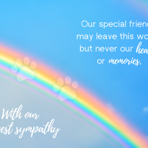 Animal Condolences 4