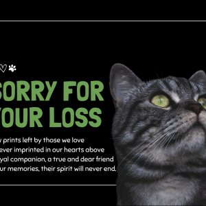 Animal Condolences Cat