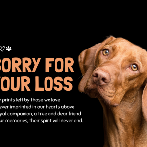 Animal Condolences Dog