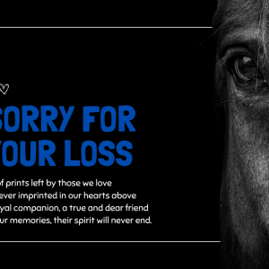 Animal Condolences Horse