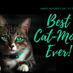 Cat Mom 1