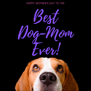 Dog Mom 1