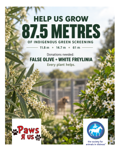 Donate White Freylinias (Freylinia tropica)