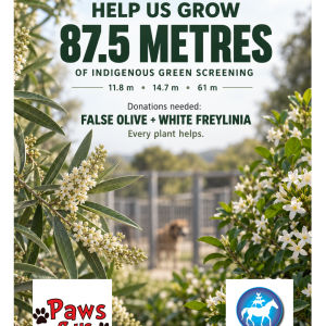 Donate White Freylinias (Freylinia tropica)
